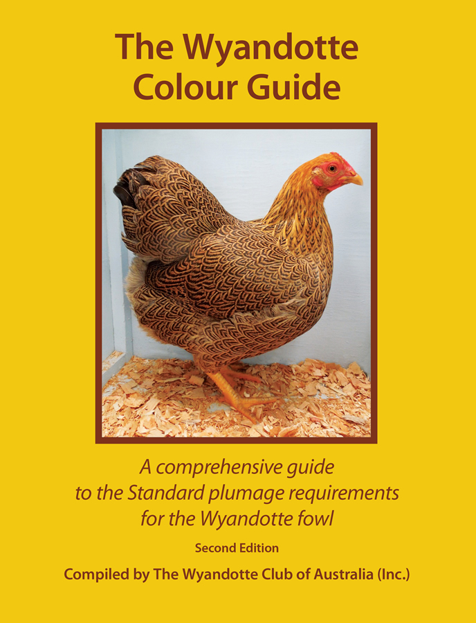 You are currently viewing Wyandotte Colour Guide