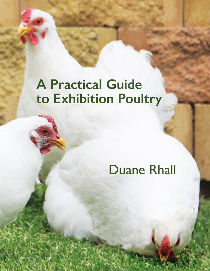 You are currently viewing Practical Guide to Exhibition Poultry