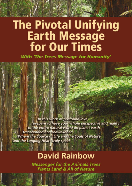 Earth Message - David Rainbow